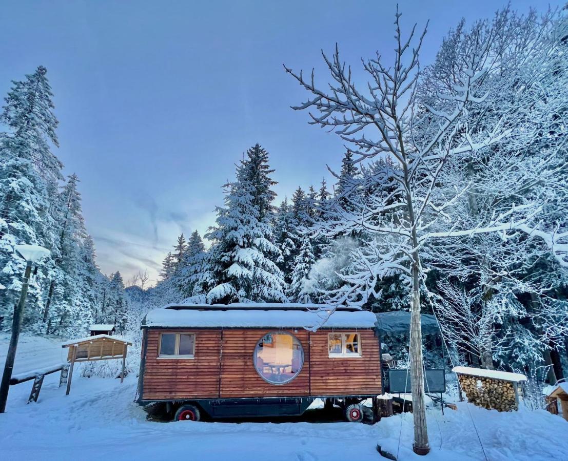 Typically Swiss Hotel Ermitage Kandersteg Bagian luar foto